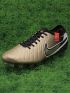 Nike Tiempo Legend 10 Elite FG Golden Touch - Mtlc Gold Silk/Mtlc Gold Coin/Black